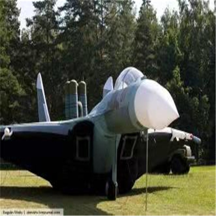 梧州充气模型飞机制造商家